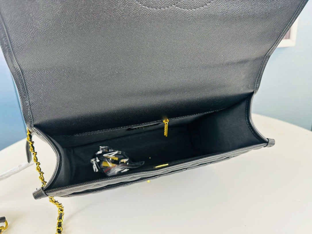 CE-22k Handbag