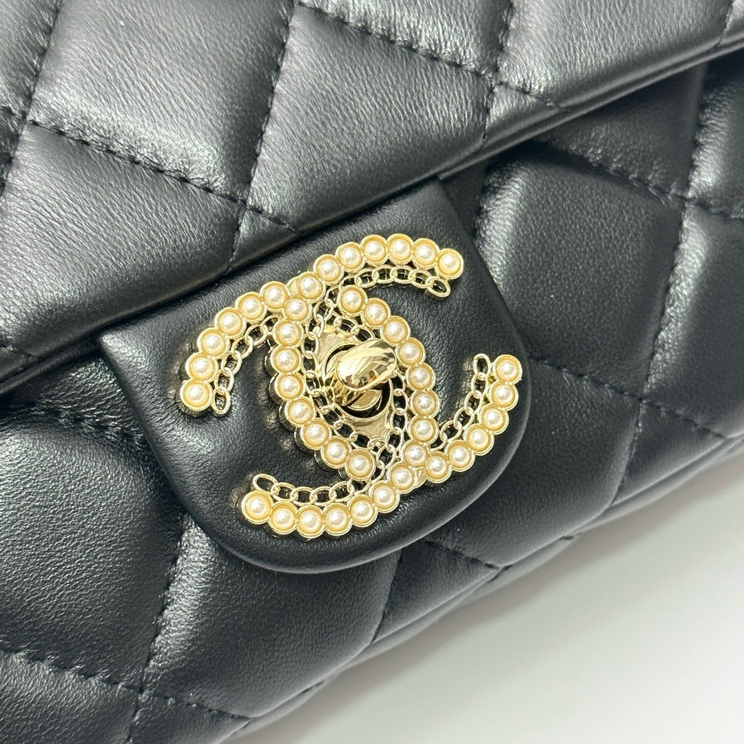 CE-Beautiful dinner bag