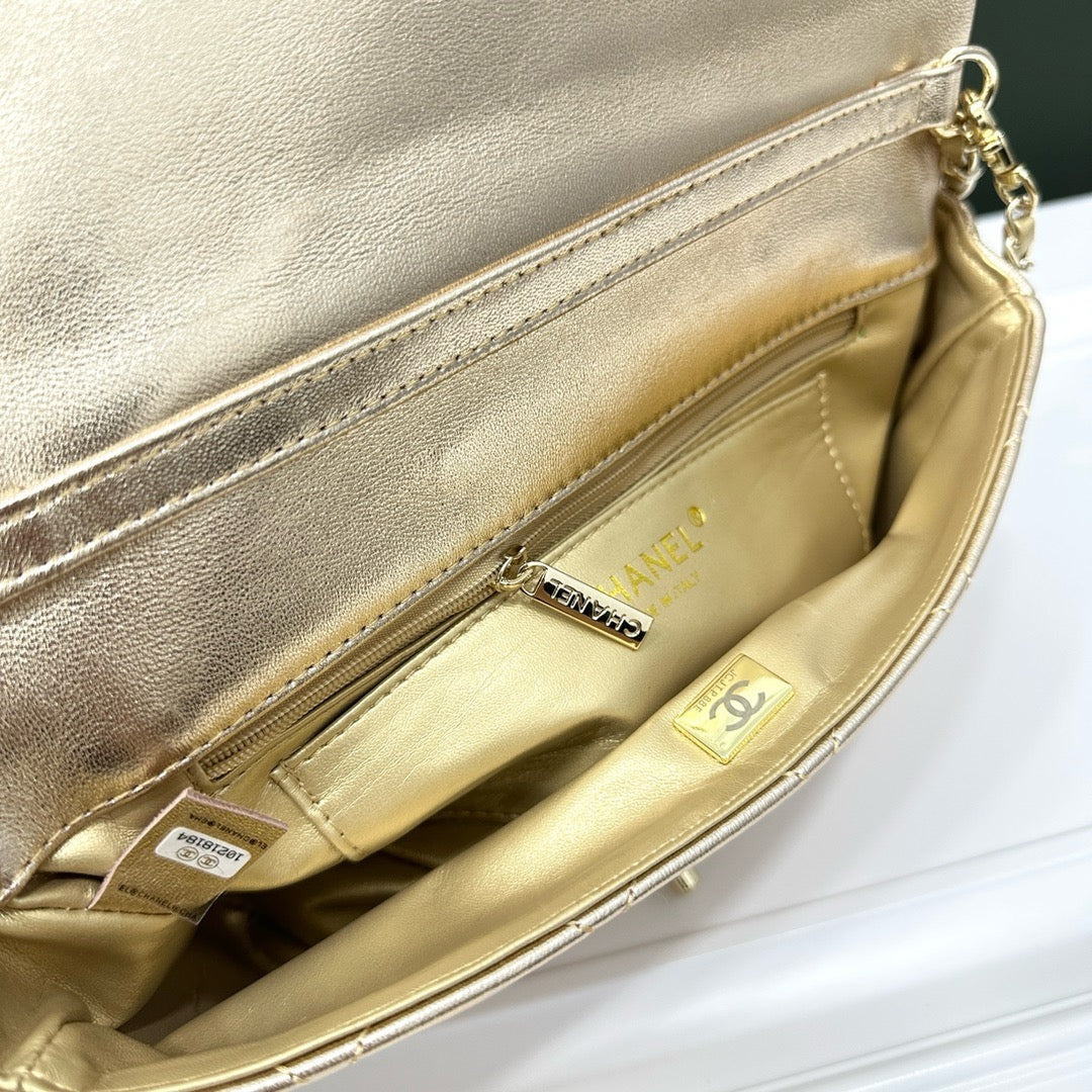 CE-Beautiful dinner bag