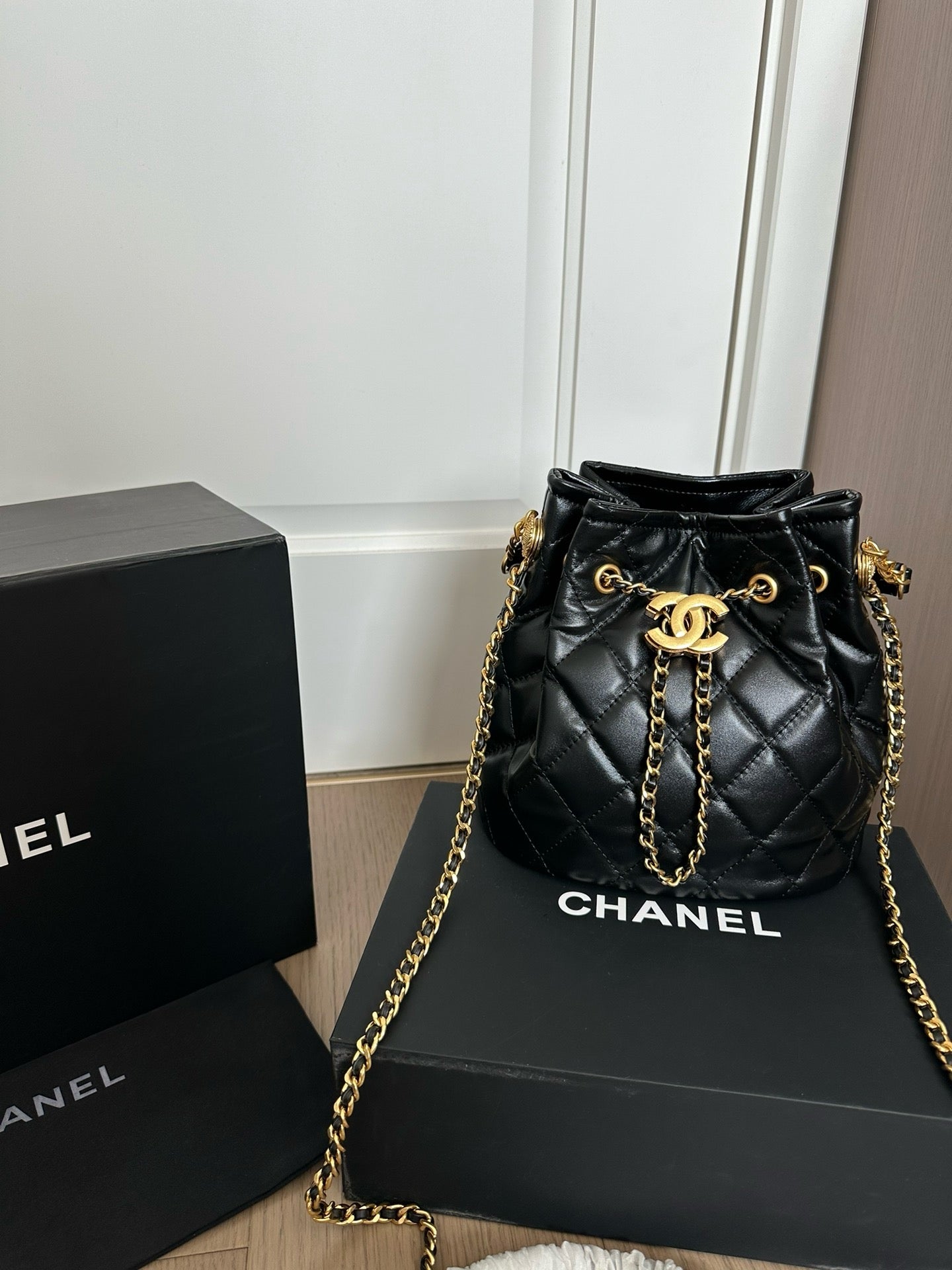 CE-Gold coin bucket bag