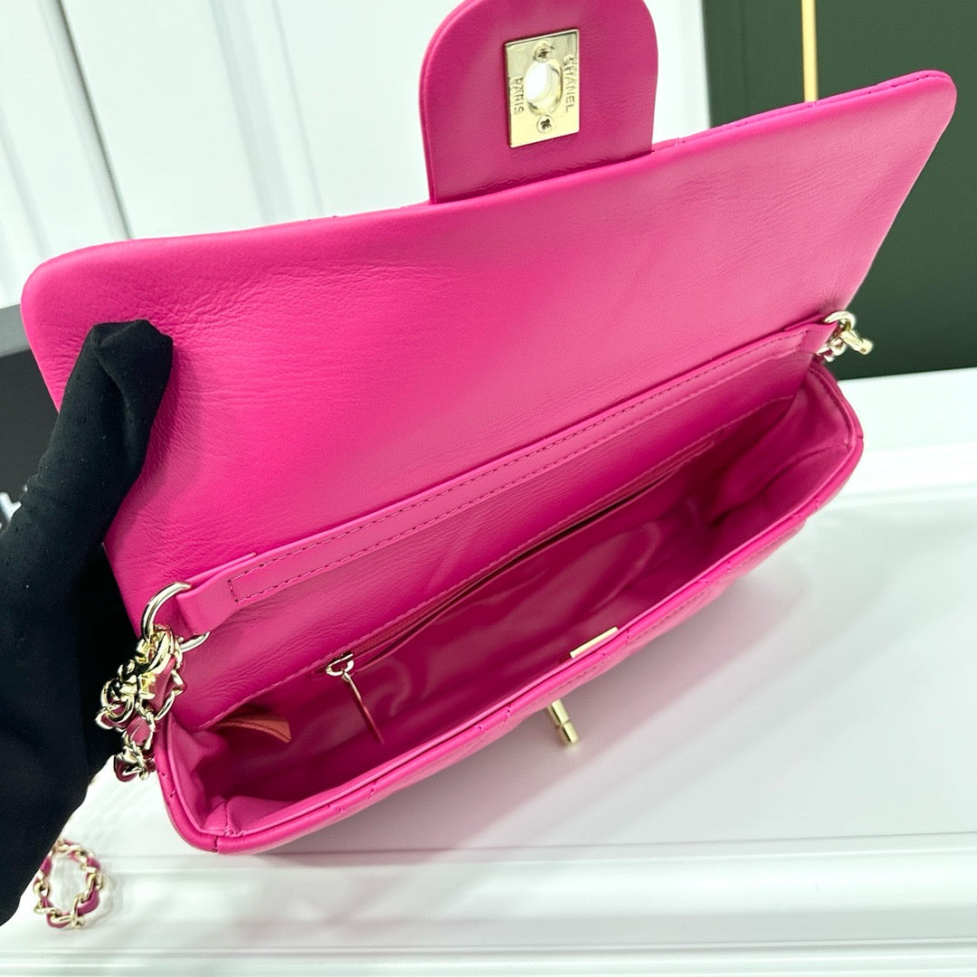CE-Beautiful dinner bag
