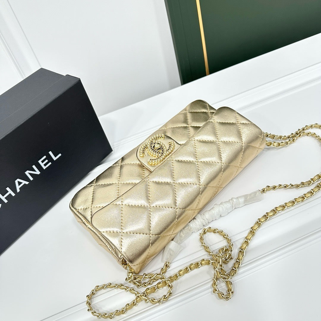 CE-Beautiful dinner bag