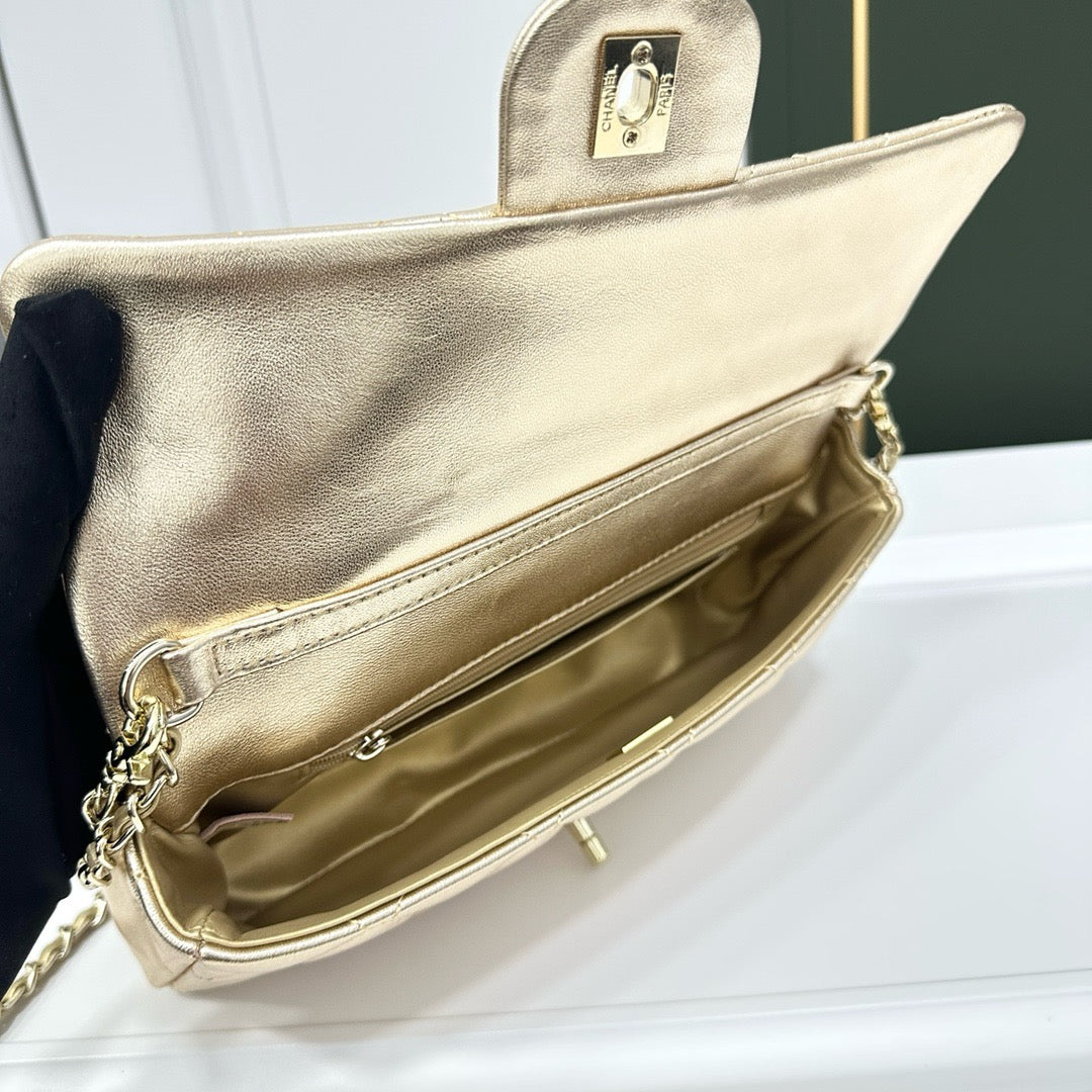 CE-Beautiful dinner bag