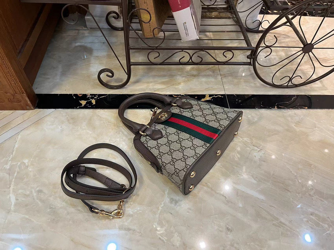 G-Ophidia GG mini handbag