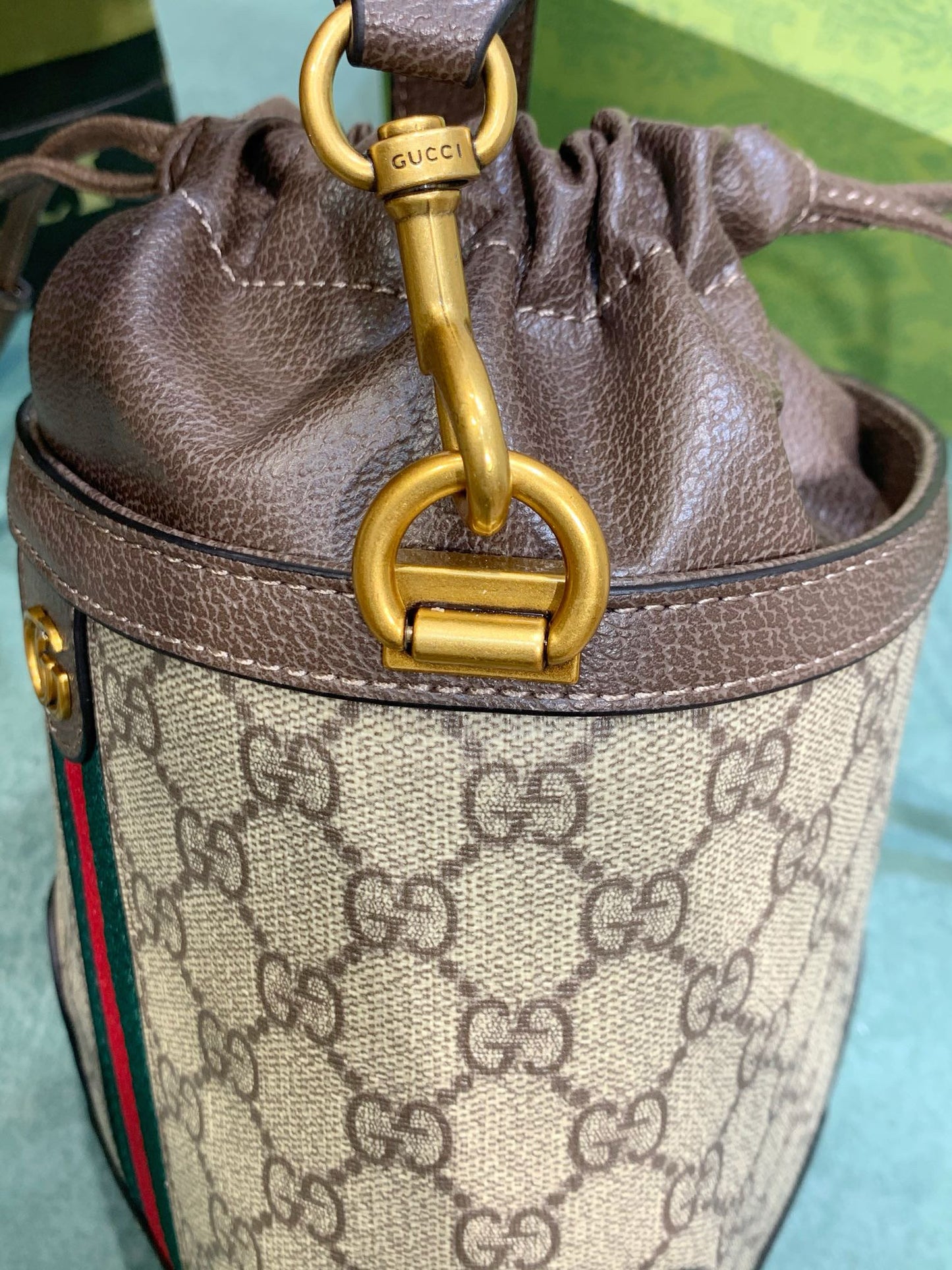 G-GG Ophidia collection